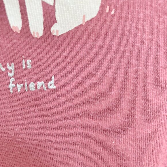 Baby Girl 0-3M Fall/Winter Bundle - Pink & Blue - Carter's/Gap - Picture 10 of 13